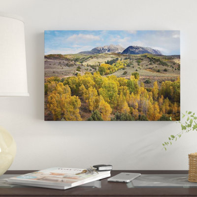 " Quaking Aspen Forest And Chair Mountain In Autumn, Raggeds Wilderness, Colorado " by Tim Fitzharris