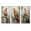Ensemble de 3 perroquets Sunny Companions Delight - Parrot-1351790971-1351790974