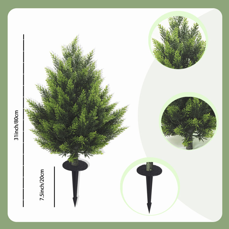 Plant