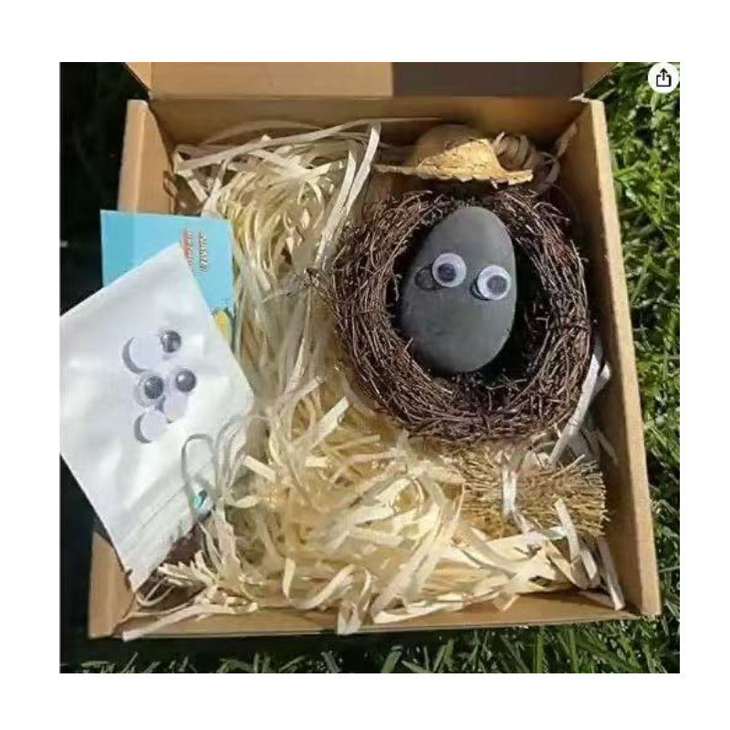 Pet Pebbles Buddy 