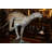 Running Cheetah - Gold Pleated Bronze Statue -  Size: 67"L x 23"W x 41"H. 