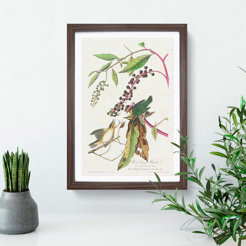 Two Warbler Birds by John Audubon - Picture Frame Painting Print, 36cm H x 27cm W x 2cm D, Walnut Framed