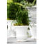 Rustic Garden Handmade Planter