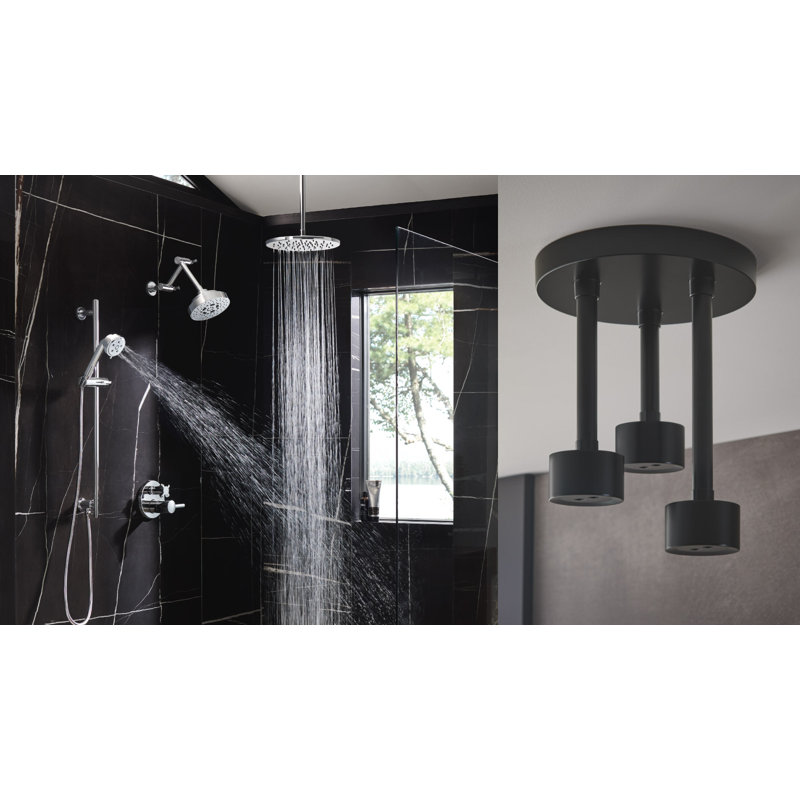 Essential™ Rain Adjustable Shower Head, 2.5 GPM, Chrome