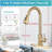 Brushed Gold Single Handle High ArcPull Out Kitchen Faucet,Single Level Stainless Steel Kitchen Sink Faucets with Pull Down Sprayer-129591575