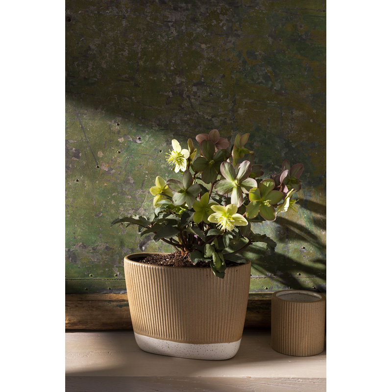 Cavana Ceramic Floor Trough