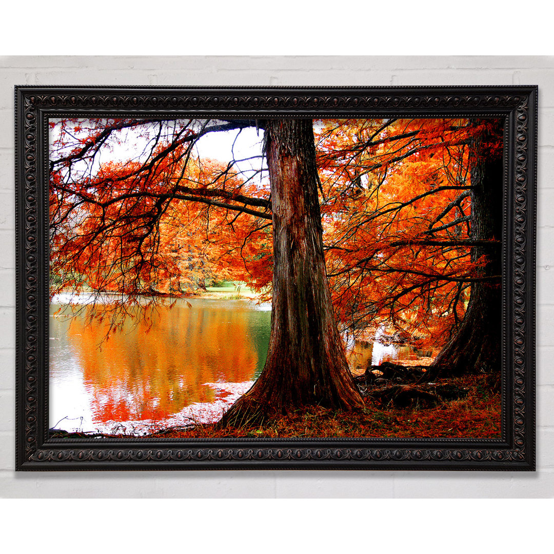 Herbst Orange River Reflections - Einzelne Bilderrahmen Kunstdrucke