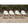 Cadon Rectangular 8 - Person 75'' Long Dining Set