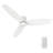 60'' Ceiling Fan with LED Lights-1950286665