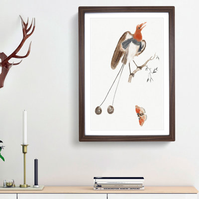 Bird of Paradise and Butterfly by Johan Teyler - Framed Print