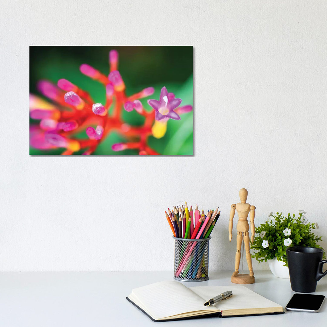 Close Up Of Pink Flower by Glauco Meneghelli - Wrapped Canvas Print