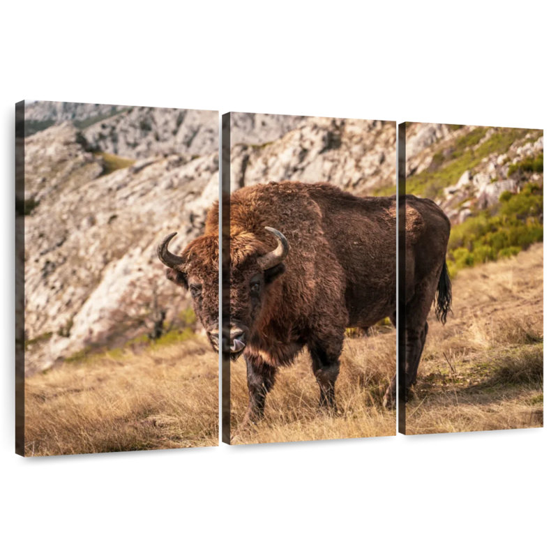 Bison de Brampt, H 20 po x l 33 po