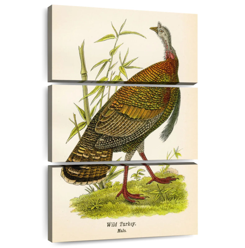 Brampt Wild Turkey Lithograph, 32" H x 20" W