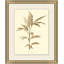 Blood Banana Framed Print