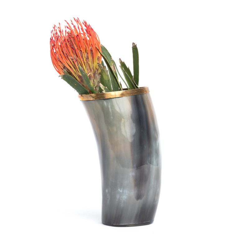 6" Ankole-Watusi Cow Horn Vase