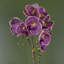 Plastic, Silk Artificial Arrangement in Pot-107235574