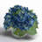 Hydrangea in Vase-1925525977