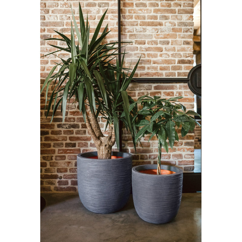 Pot Planter, 34cm H x 35cm W x 34cm D, Dark Brown