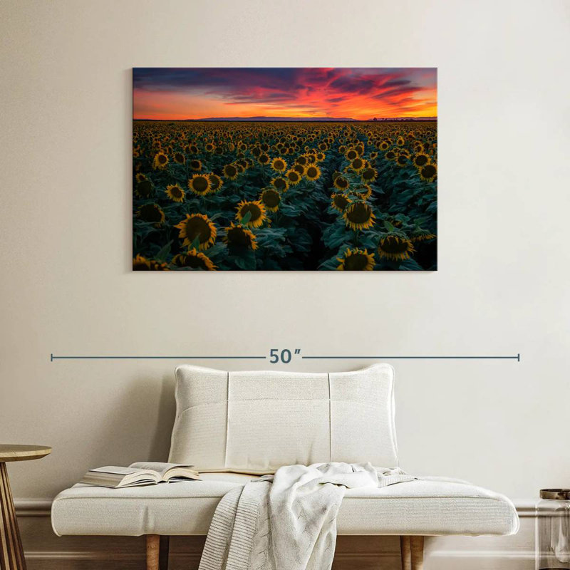 Alvord Sunflower Field Rows