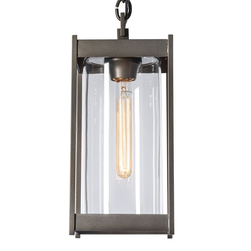 Cela Outdoor Pendant, 14.1" H x 6.2" W x 6.2" D, Clear, Coastal Black