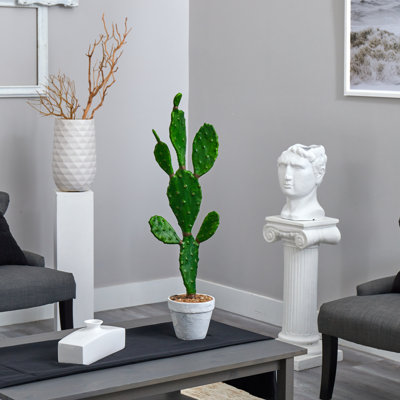 31 "plante de cactus artificielle en pot