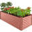 Rosonda Outdoor Metal Raised Planter Box-127370192-82630697