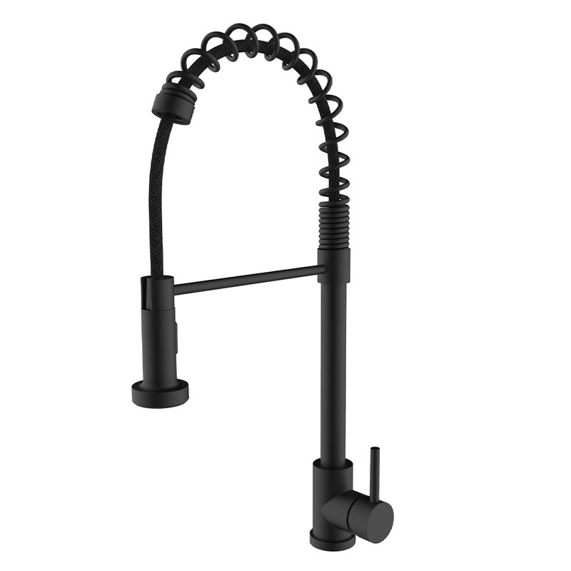 LITTLE TREE Pull Out Kitchen Faucet