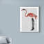 Flamant rose avec bottes à lacets sur texte, art textuel sur toile tendue-33420874