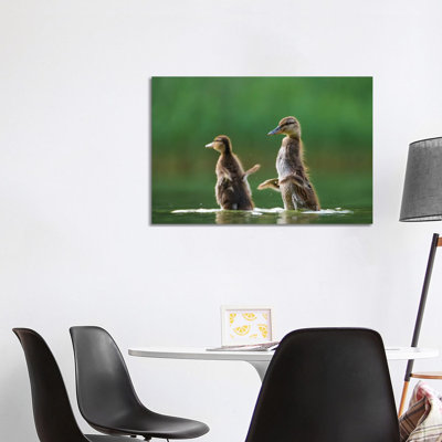 I Want to Fly 1 Piece Wrapped Canvas Wall Art