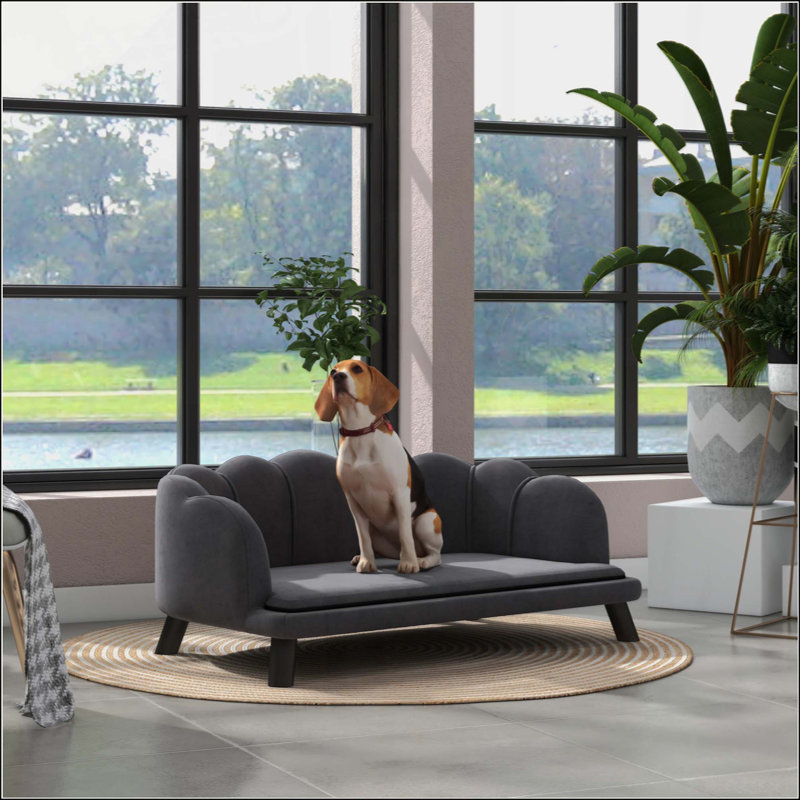 Canapé en velours pour chien avec pieds robustes en bois et coussin moelleux, Gris