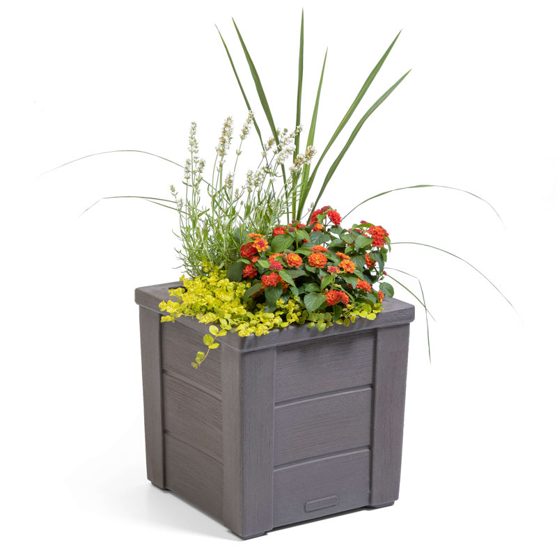 Pot Planter