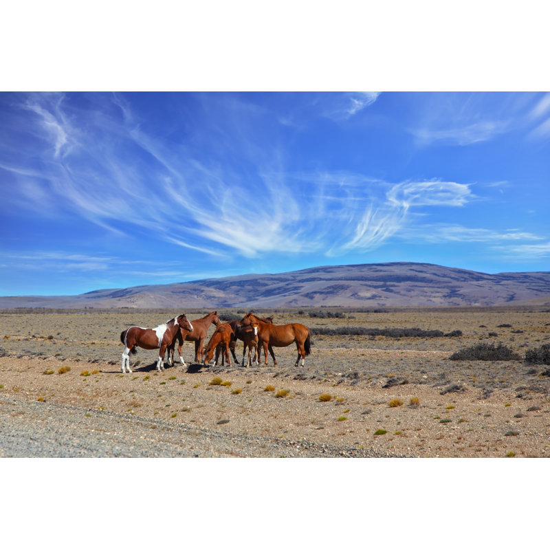 Como Como Herd Of Mustangs Grazing - Wrapped Canvas Print, 30cm H x 46cm W x 3.8cm D