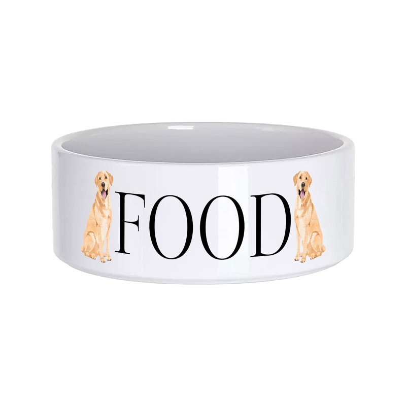 Vivid Squid Wholesale Ceramic / Porcelain Decorative Bowl 1