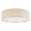 Derbyshire Plastic Flush Mount-1505582046