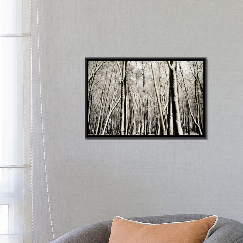 Neige couverte d'arbres, reproduction sur toile tendue, H 18 po x l 26 po x P 1,5 po, Toile avec cadre noir, Pas de tapis