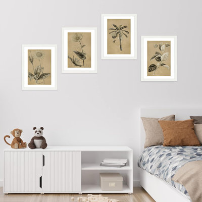 Ensemble de 4 impressions rétro encadrées sur papier, ensemble de 4 plantes rétro