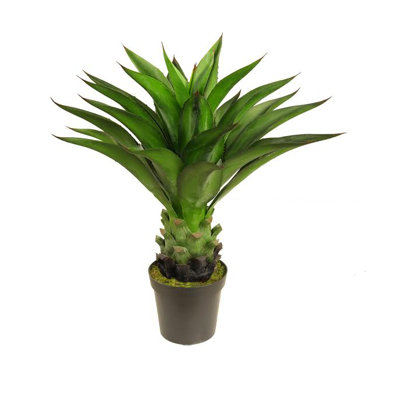 Plante grasse artificielle brune et verte 30,5 po dans un pot noir
