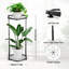 Camillia Plant Stand