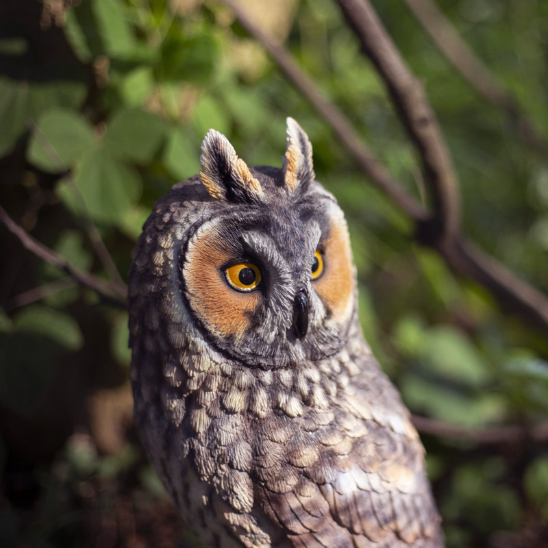 Long Eared Owl on branch | Handcrafted Decorative Bird Statue for Home & Garden | Premium Polyresin, Weather-Resistant Indoor/Outdoor Decor