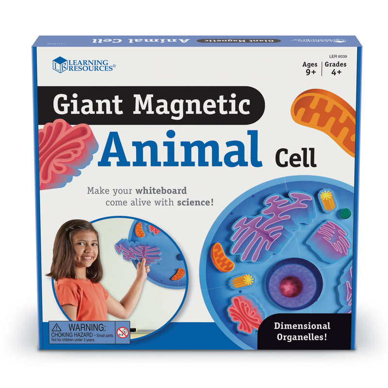 Pile géante d’animaux magnétiques
