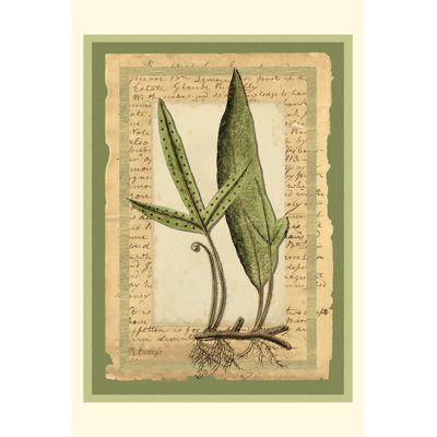 Woodland Scrapbook IV