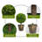 22'' Faux Boxwood Tree in Pot