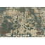 Tapis vert / gris de style sud-Ouest Everalda-23396201