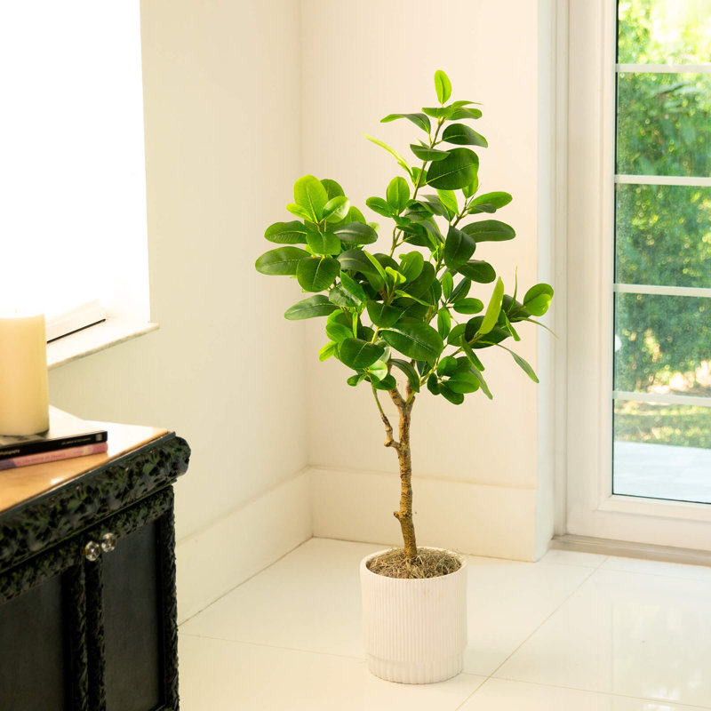 7 pi Ficus Audrey artificiel, H 48 po x l 22 po x P 6 po