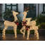 3 Piece Deer Family Lighted Display Set