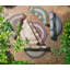 Tapis intérieur / extérieur Tallassee-730910525