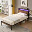 Base de lit plateforme en métal avec tête de lit et pied de lit en bois avec port USB, lumières DEL, pas de sommier, grand rangement sous le lit, assemblage facile