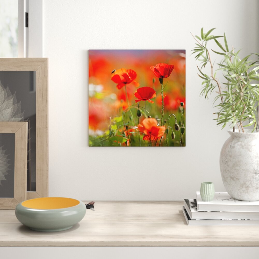 Glasbild Orange Poppies II