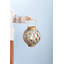 Lanterne globe-2128616054