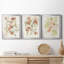 «Abstracting Flowers I», ensemble de 3 peintures sur toile encadrées-1771802720-1771802721